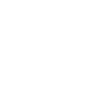 Pukki Visuals Logo